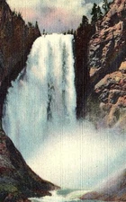 Lower Falls Postcard 8A-H557 💥YELLOWSTONE NTL PARK💥 WY Wyoming Colortone