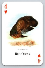 Carta Scambio Rosso Oscar Pesce Quattro di Cuori Carta da Gioco Astronotus ocellatus