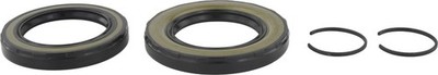 REAR DIFFERENTIAL-PINION SEAL Febest KIT-BZ163R OEM 1639970246