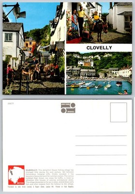 Clovelly Devon Fishing Village Donkeys Harbor John Hinde Postcard