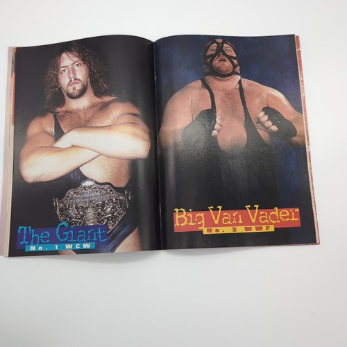 Wrestling Magazine 90er Jahre Auswahl | WWE WWF Comix WCW Power Poster Vintage - Bild 79 von 114
