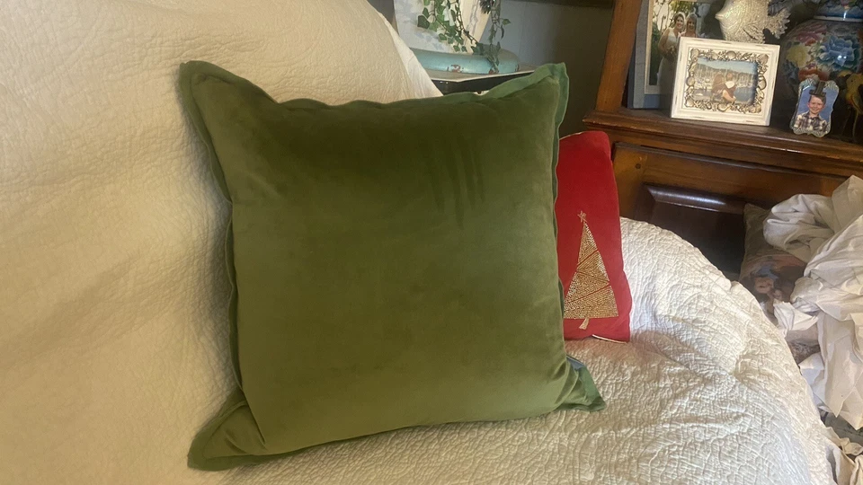 Loden Green Velvet Throw Pillow with Cotton Flange Square 18x18in Feather Insert - Image 3 of 4