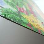 Picture 3 of 9