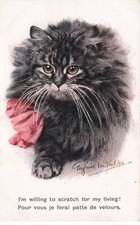 Gattino Nero #FG35012 Gatto Nero Persiano Di Valter