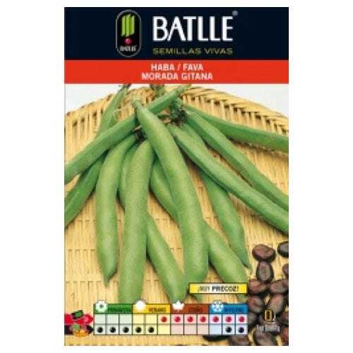 Batlle Gartenbau Samen - Mauves Gitanes Vicia Fava Bohnen (100g) - Bild 3 von 5
