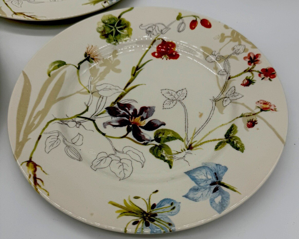 Royal Stafford Sketchbook Dinner Plates Set Of 3 7658066 eBay