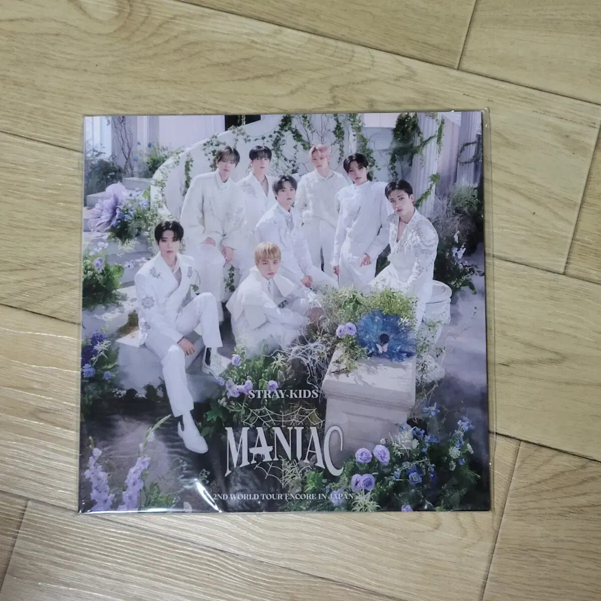 straykids Ski's Maniac Japan photobook | eBay