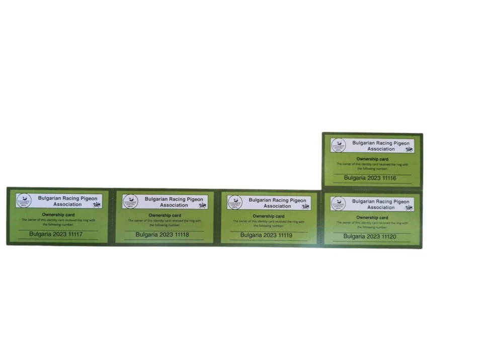 5 Brieftaubenringe 2023 BG Taubenringe FCI Eigentumszertifikat Ring Bulgarien - Bild 3 von 3