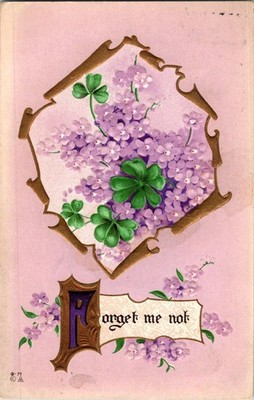 1915 Forget Me Not Postcard w/ Shamrocks, Embossed Floral & Gold Accents, Posted