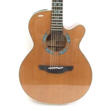 Takamine LTD2023 Akustikgitarre mit Gigbag #UD3948