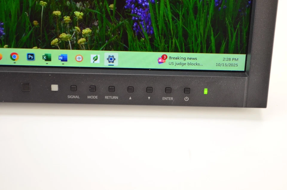 EIZO MX215 LCD Medical Monitor RadiForce 21" MRI/CT Imaging Display DICOM - Image 2 of 4