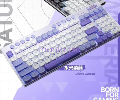 New Thunderobot K96 mechanical keyboard purple / delivery fast *M