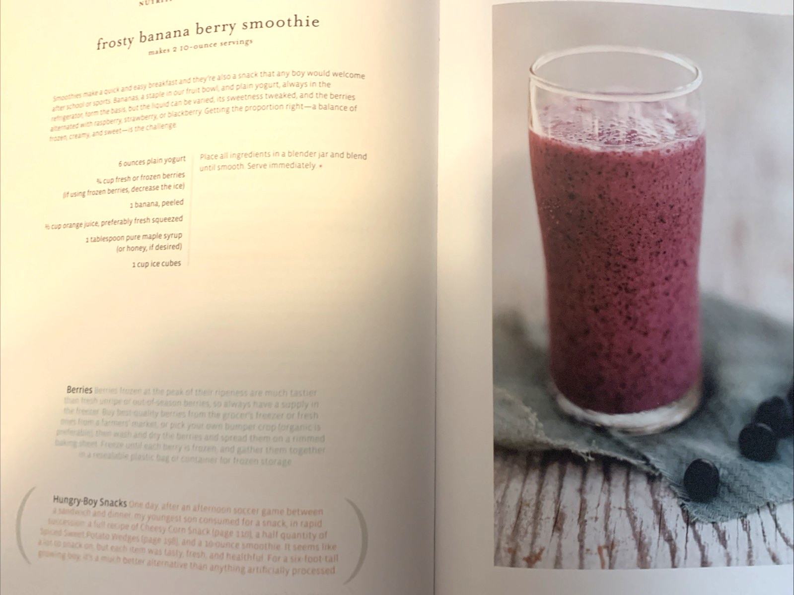 Mad Hungry : Feeding Men and Boys - Recipes, Strategies and Survival Techniques