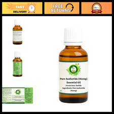 Pure Asafoetida Essential Oil 5ml - Natural Heeng for Cooking & Aromatherapy