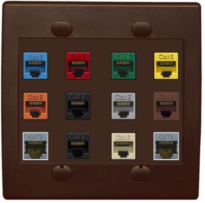 RiteAV Cat6 Colors Wall Plate 12 Port - Flat 2 Gang [Brown/Brown]