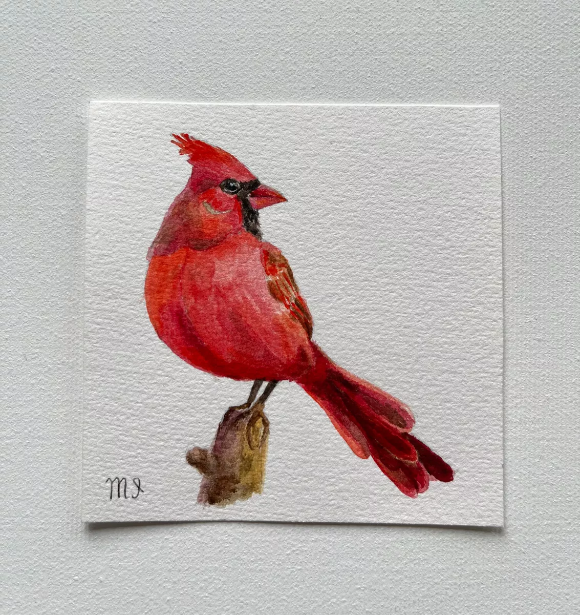 Cardinal painting deals