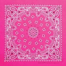 Carolina Creative Bandanna Neon Pink Paisley Print 22" x 22" Hav-A-Hank