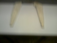 FUR COLLAR SEE PICTURES