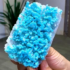371G  Natural high-quality white crystal clusters coexist with blue minerals