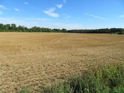 Foto 6x4 Lower Field (29,5 Acres) - Breach Farm East Oakley Posternte c2016