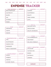 Digital BUDGET PLANNER planner pdf editable file Instant Download and Print bp4a