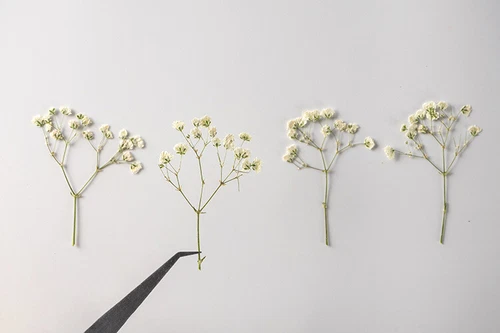 Dried Pressed Flowers Natural Epoxy Resin Candle Nail Art Scrapbooking Craft AU - Picture 160 of 210
