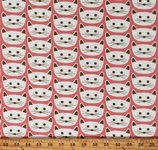 Knit Cats Kittens Faces Pets Animals Cat Nap Pink Fabric by the Yard D450.16