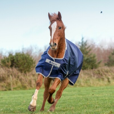 % Bucas Atlantic Turnout 200g BIG NECK -UVP  285,00 -Reitsport NuddelHof -NH