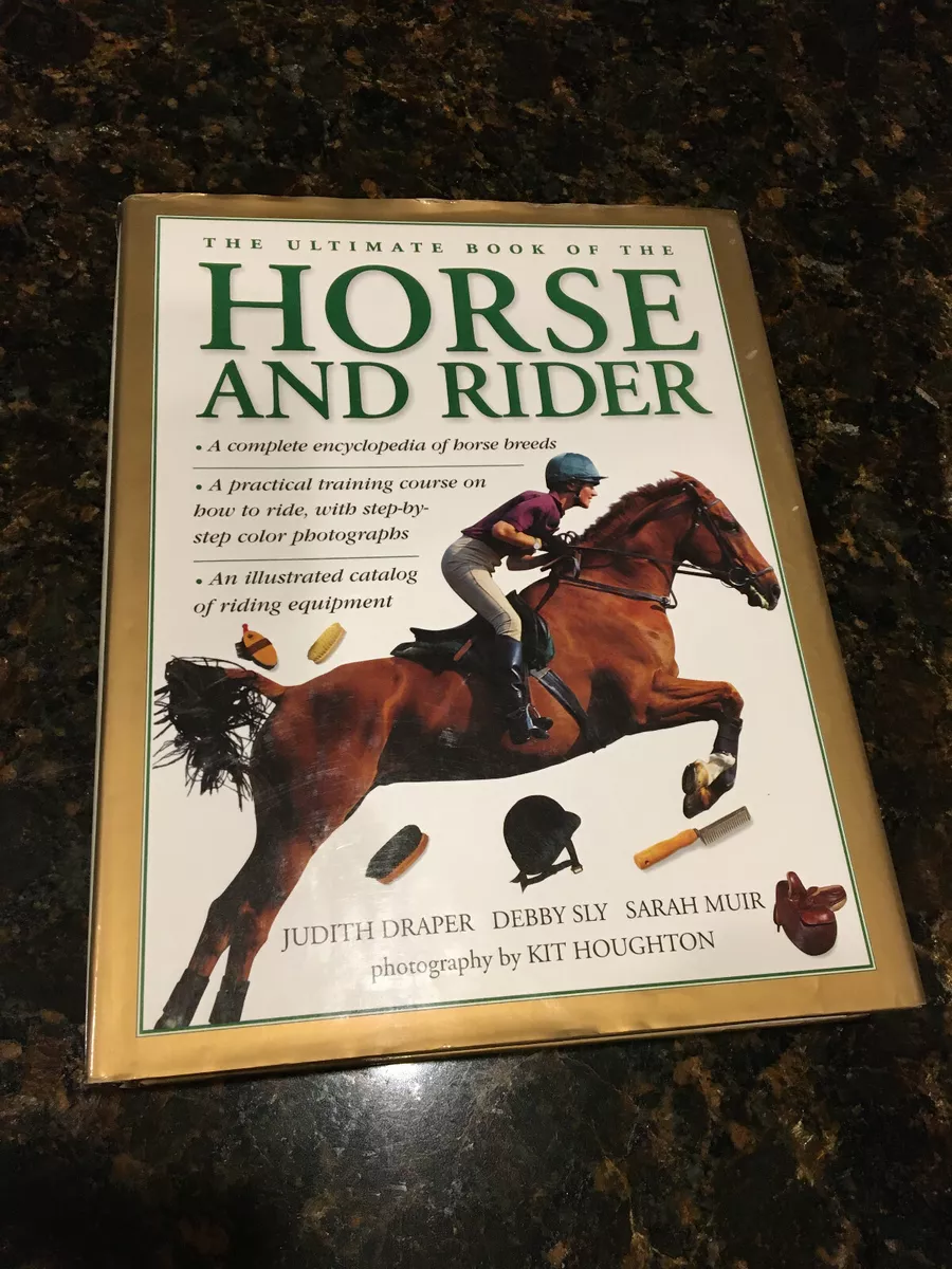 English Horse Breeds: A Complete Guide