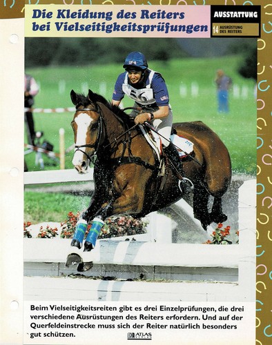 The Rider's Gear (4) - Info Cards - Picture 2 of 5