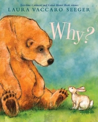 Laura Vaccaro Seeger Why? (Kartonbuch) (US IMPORT)