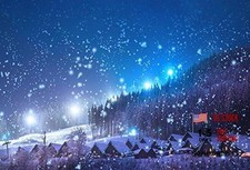 Blue 5x3ft Blue Rustic Village Backdrop for Night View - Snowing Forest Trees