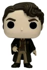 Tom Riddle Harry Potter Funko Pop! Loose #60