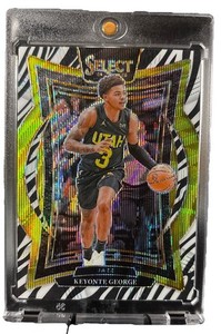 Basketball Zebra | eBay