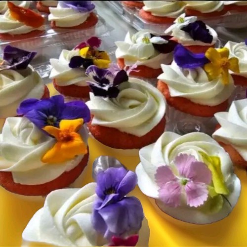 Fresh Edible/Garnish Flowers Violas Free Overnight Fed Ex 50 - Picture 2 of 9