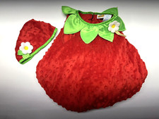 Fun of a Kind Plush Red Strawberry Halloween Costume With Hat - Size 18 Months