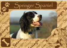 Springer Spaniel w Paws Engraved Wood Picture Frame Magnet