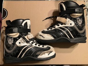 Aggressive Inline | eBay