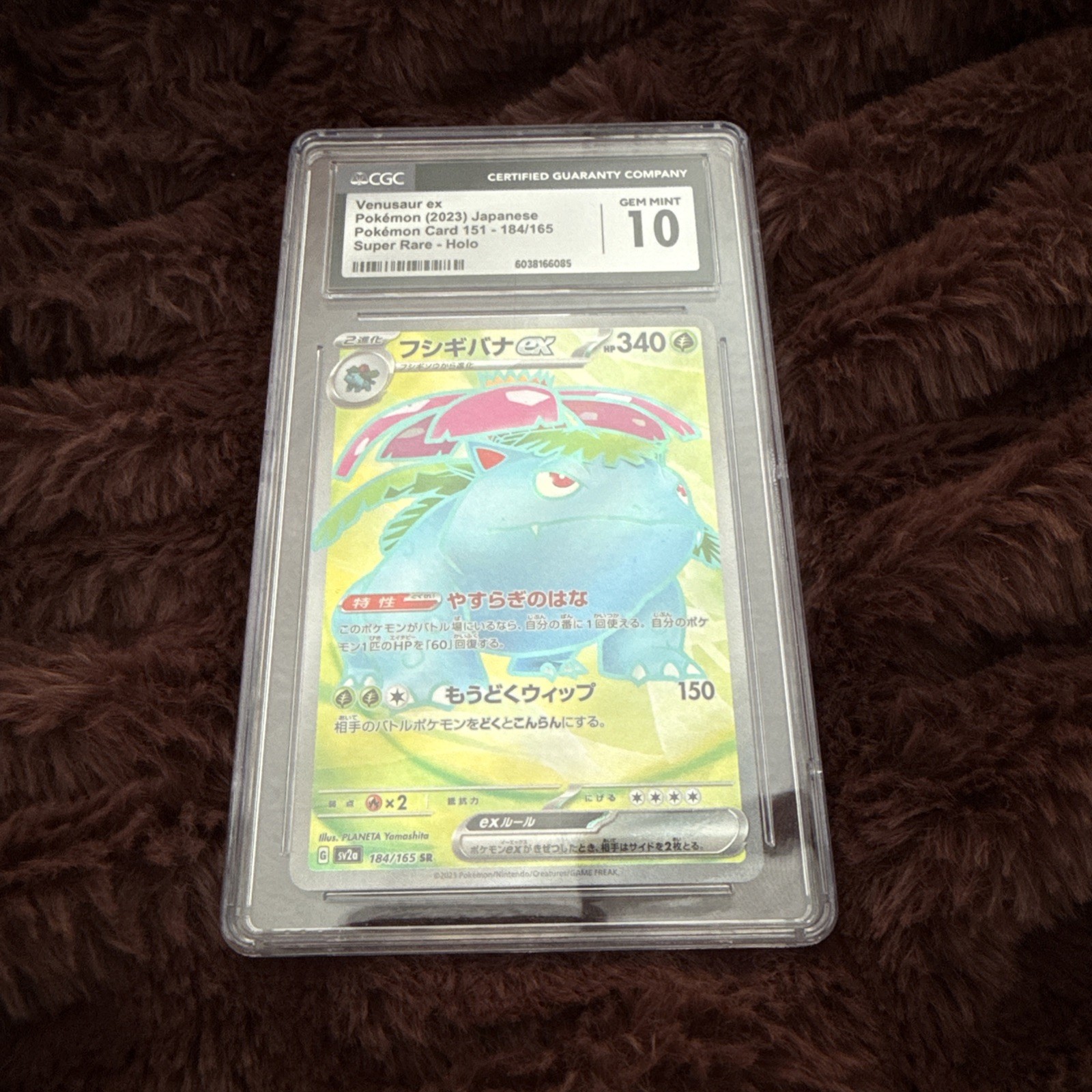 CGC Gem Mint 10 Venusaur ex 184/165 SR Pokemon 151 sv2a Pokemon Card