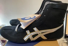 Asics Wrestling Shoes EX-EO 1083A001 Black x Silver x Gold Heal Gold
