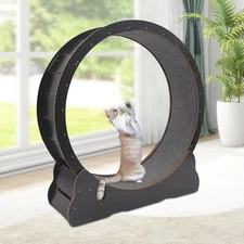 Modern Cat Wheel Round Cat Exercise Wheel for Indoor Cats With Floor Mount Black
