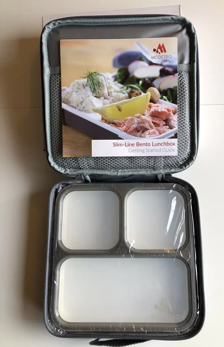 Modetro Slim Line Bento Adult Lunch Box with Thermal Bag color