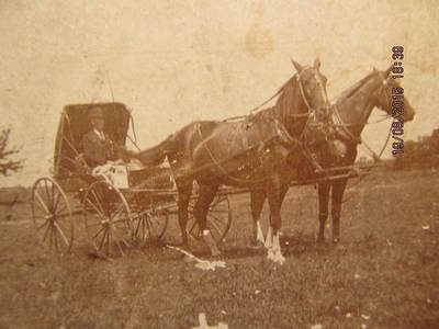 Photo Well-Dressed Man 2-Horse Carriage Rural Scene 1900 So