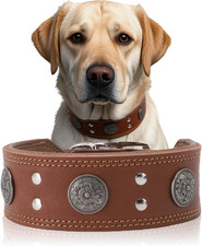 Leather Dog Collar 2 in Wide Adjustable Leather Dog Collar for Large Dogs Rus...