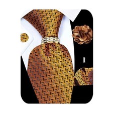 5PCS Tie and Pocket Square Set for Men, Silk Tie and Gold Tie Set -256