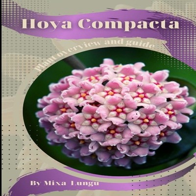 Hoya Compacta Plant overview and guide Mixa Lungu Paperback Amazo