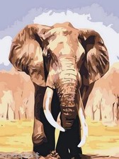 African Elelephants Refrigerator / Tool  Box  Magnet