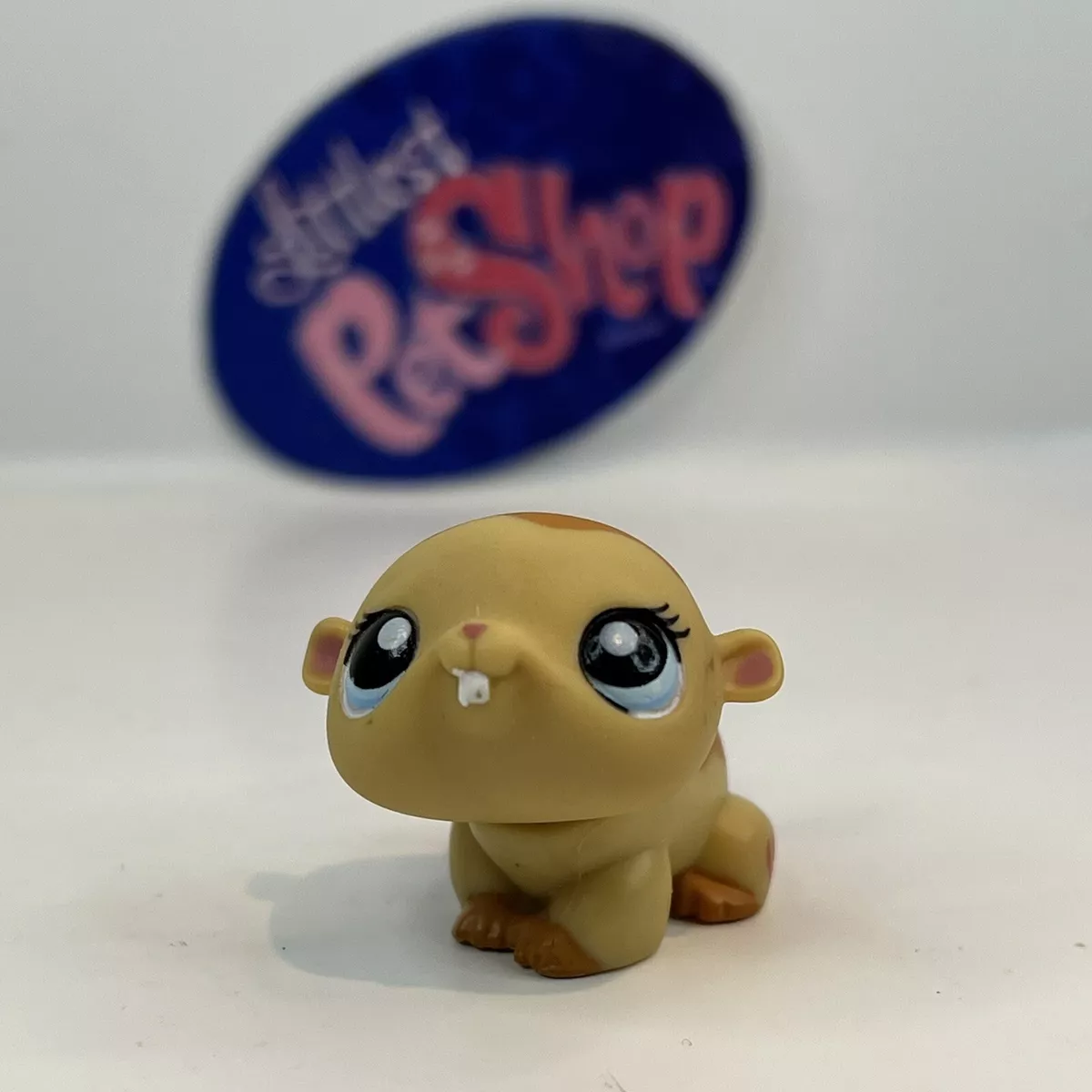 Pet top shop hamster