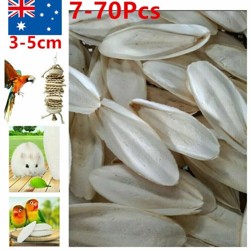 7-70Pcs Cuttlebone Cuttlefish Bone Sepia Cuttle Fish Pet Bird Food Calcium AU - Picture 2 of 16