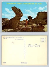 Toadstool Forest Badlands of SD Postcard 1963 Chrome Unposted